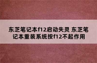 东芝笔记本f12启动失灵 东芝笔记本重装系统按f12不起作用